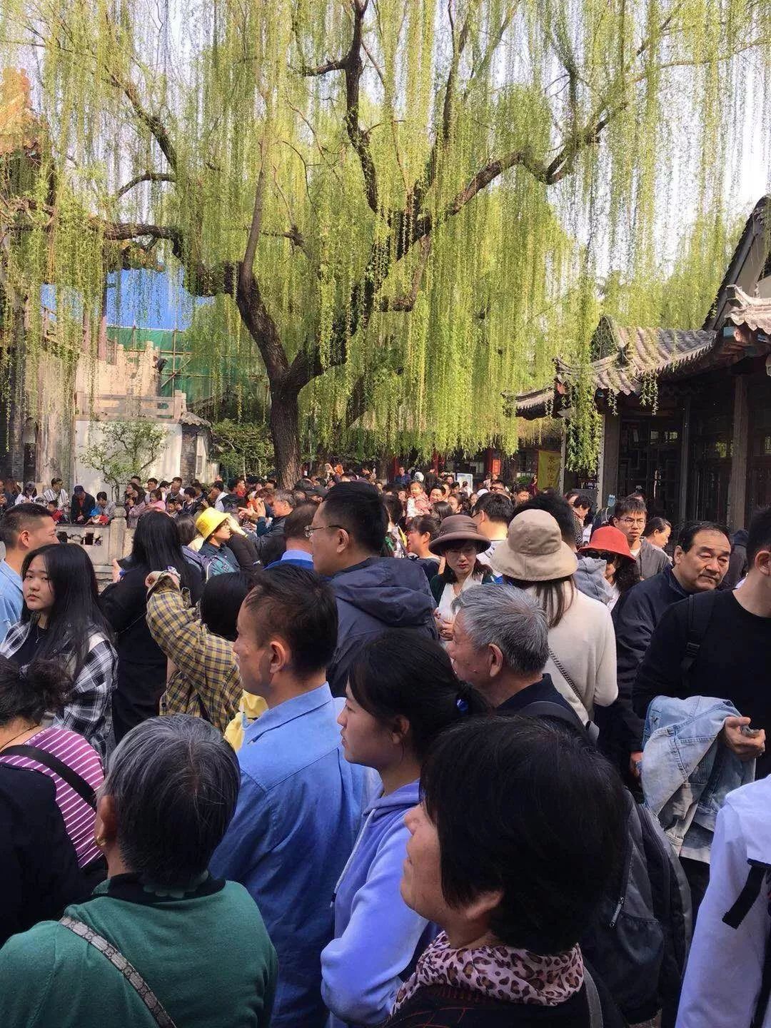 胶州湾大桥变停车场、高速堵到发红 躺在家的人偷着乐吧