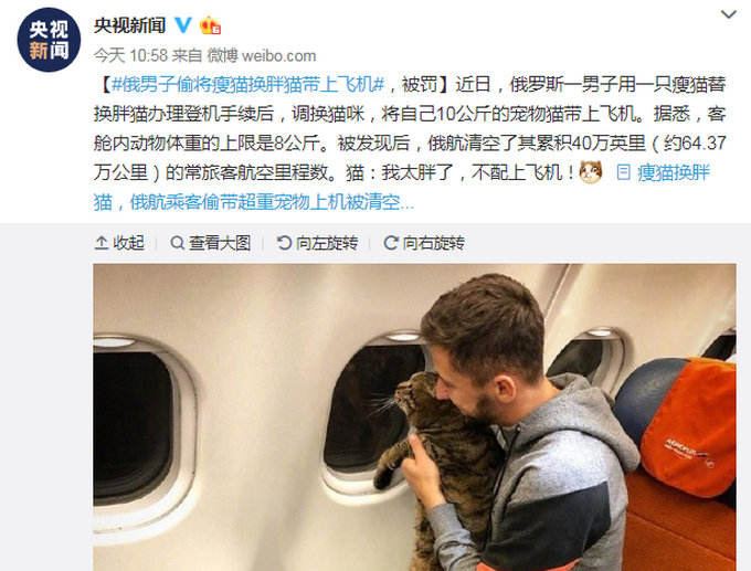 男子偷将瘦猫换胖猫带上飞机被罚40万 常客里程被航司作废
