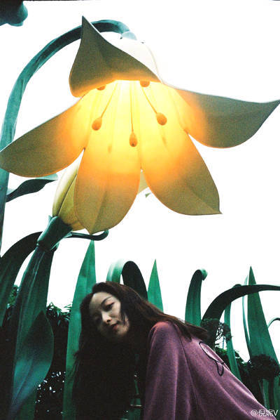 游客照模板！倪妮游迪士尼笑容灿烂