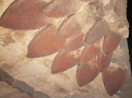 长清发现疑似元朝古墓，考古队已到达现场