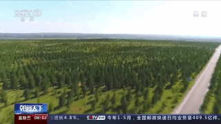从“沙进人退”到“绿进沙退”，我国防沙治沙取得显著成效