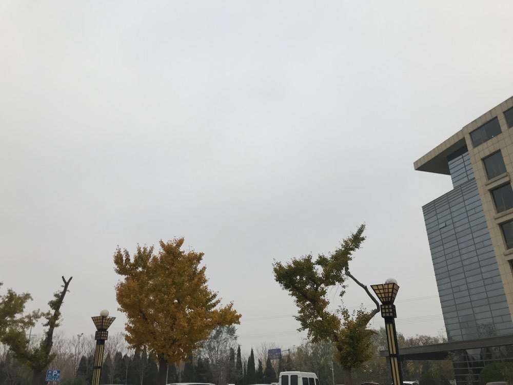 山东发布寒潮和海上大风黄色预警 最低气温降至-4℃