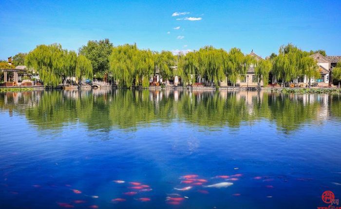 春天里的历下：一幅生机盎然的生态画卷