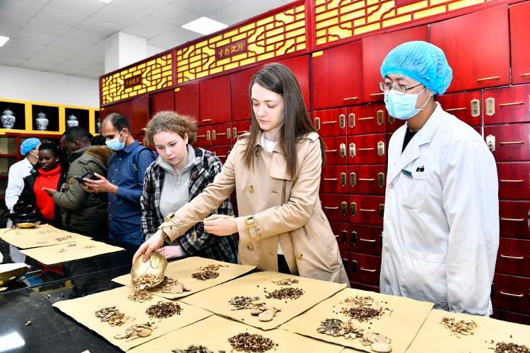 “齐”心“鲁”力丨青岛：搭建中医药文化国际交流共享桥梁