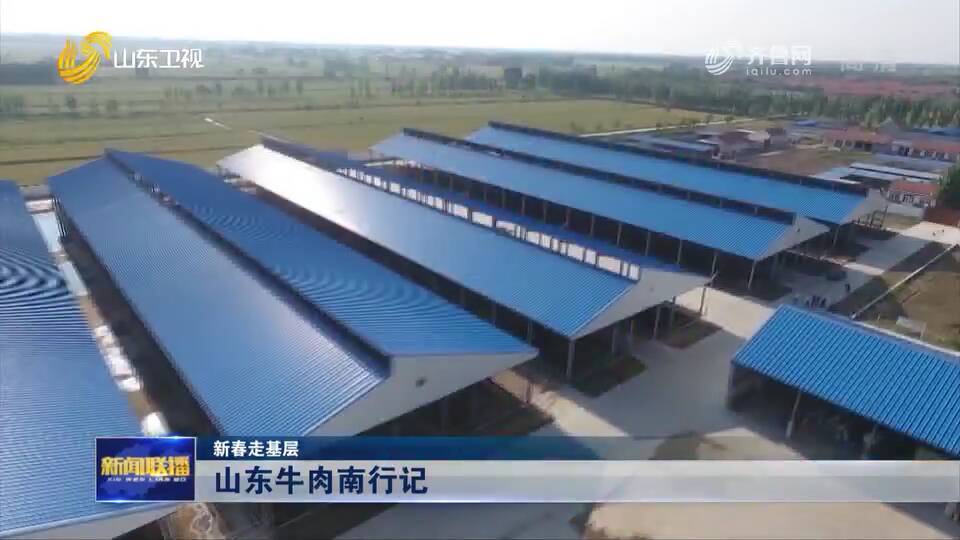 【新春走基层】山东优质农产品丰富大湾区百姓“菜篮子”