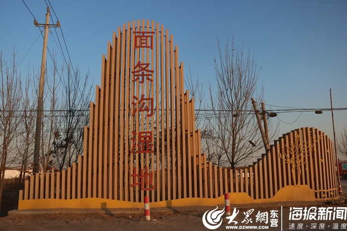 这就是东营丨东营河口面条沟湿地：净化水质还创造如画美景