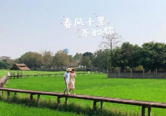 汪涵一家三口全家福曝光，4岁小沐沐身高亮了