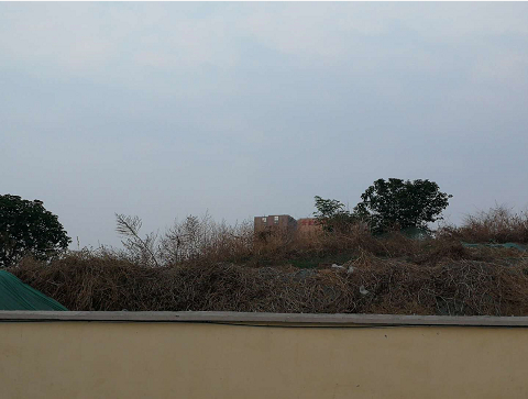 啄木鸟行动：北园高架路与匡山东路交叉口东南角处部分土堆裸露、防尘网覆盖不全