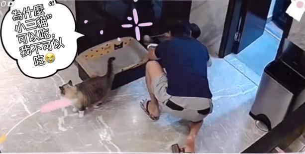 安以轩儿子翻越床板超惊险，小小年纪身手不错化险为夷