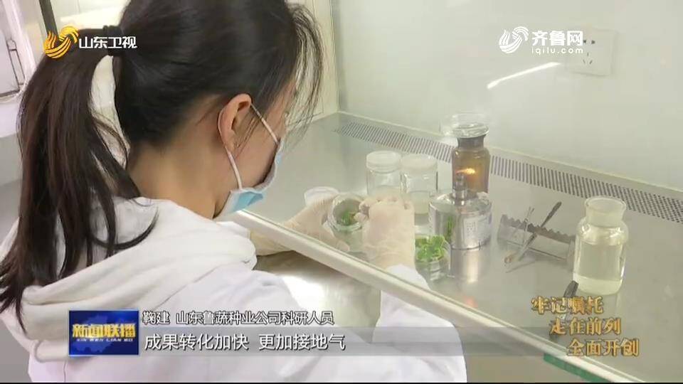 山东新模式加快农业科技成果转化为现实生产力