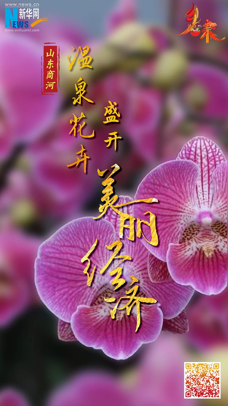 乡味｜山东商河：“温泉花卉”盛开“美丽经济”