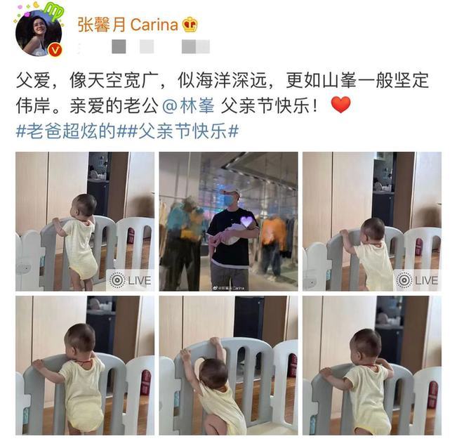 林峯老婆晒女儿照遭恶评 怒怼黑粉“有证据吗”