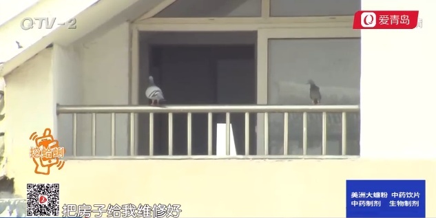 女子胶州买房十年没拿到钥匙 屋子已成鸽子窝