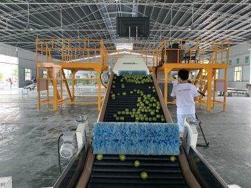 走向我们的小康生活 