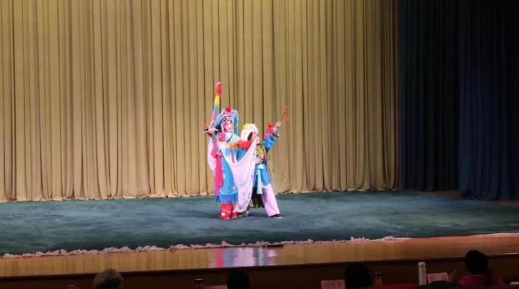 惊艳！山东一小学生获全国“国戏杯”学生戏曲大赛最高奖！