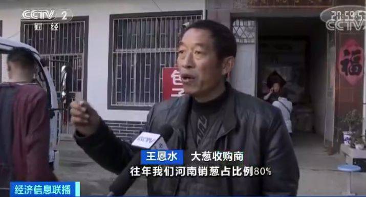 咋回事?山东大葱价格腰斩 