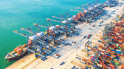 在青岛港逐浪的年轻人（青春派·青春奋进新时代(31)）