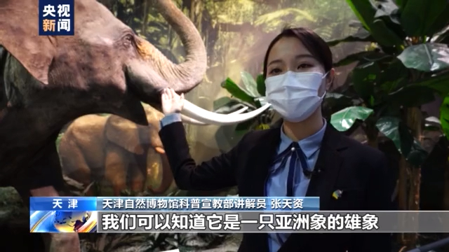 标本“活”起来 古动物明星圈粉百万 带你探秘天津自然博物馆