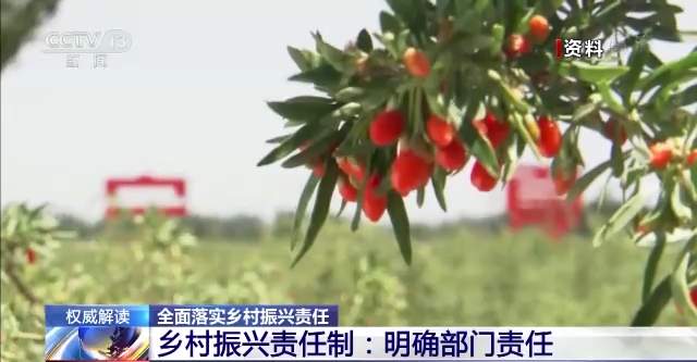 权威解读丨全面落实乡村振兴责任 确保乡村振兴重点任务落到实处