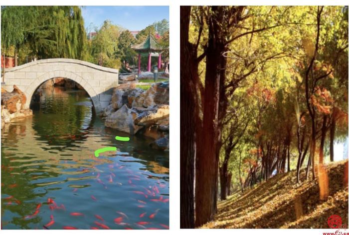 国家工业遗产 行走的思政课堂 济南二机床让工业“老面孔”变身工业旅游“新地标”