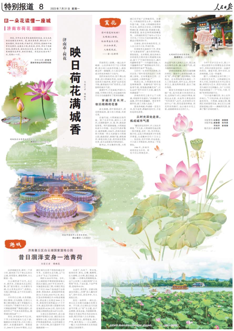 人民日报整版特别报道济南：映日荷花满城香