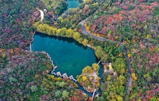 2023济南赏红叶地图来啦！快来欣赏泉城的诗意秋天