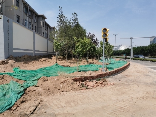 【啄木鸟在行动】淄博路、日照路交叉口西南角绿化带裸土造成扬尘