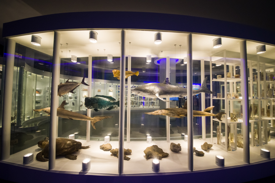 【我爱这片蓝色的国土】探秘全国海洋科普馆NO1，体验“蛟龙”深潜神器