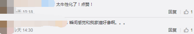 英国一家农场给牛群装了一个巨型痒痒刷，网友：看着我都痒了起来