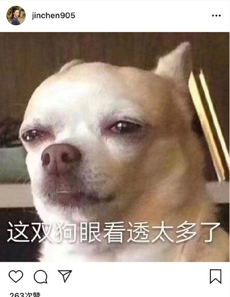 终于回应了!金晨疑回应分手是什么情况?终于真相了,原来如此!