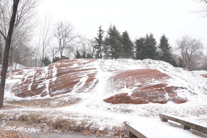 小年迎初雪！雪中红石别样美