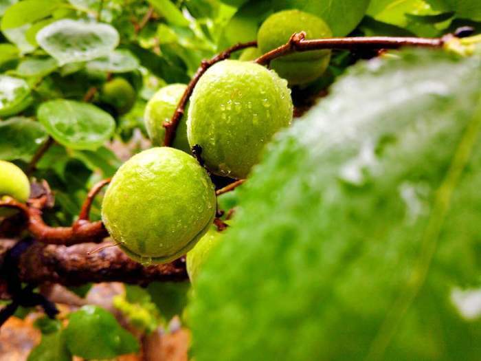 【春耕进行时】回看舜网记者带您走过的这些地方