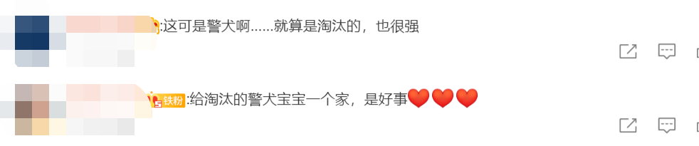 男子出33万最高价拍下淘汰警犬：为国家做贡献