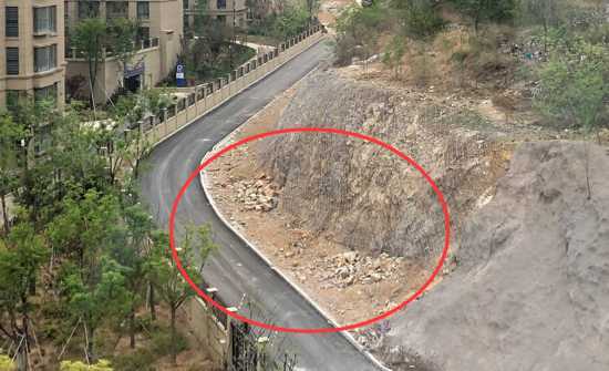 【啄木鸟在行动】毁树堆垃圾  何人在“啃山”？