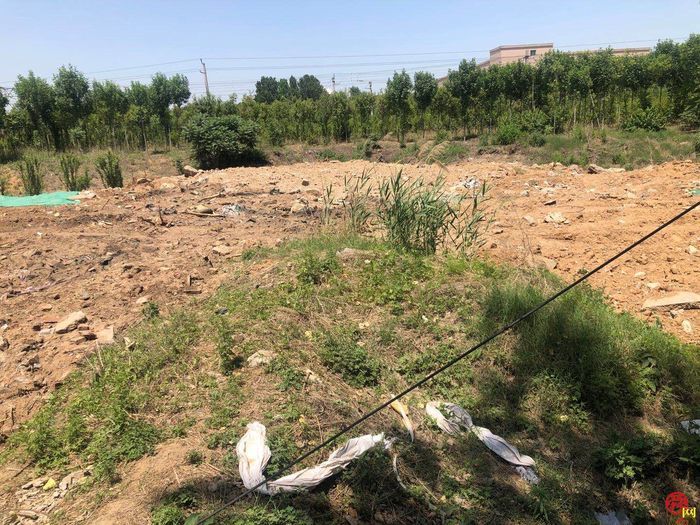 【啄木鸟行动】历城区西枣园村大片生活垃圾渣土裸露