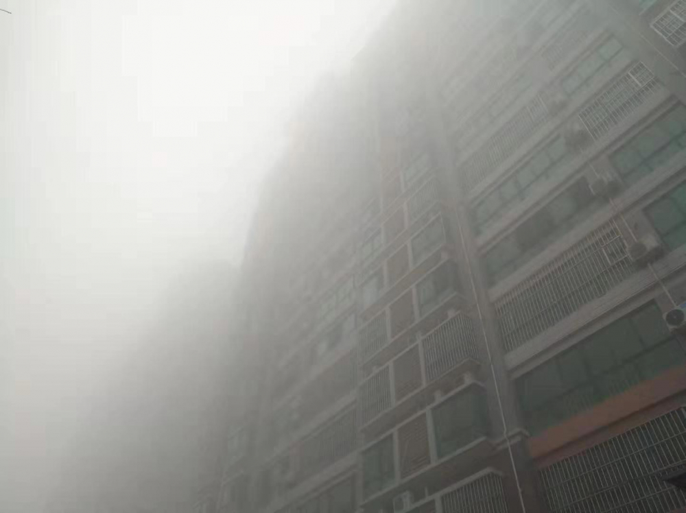 山东将大雾红色预警降为黄色预警 11市仍有浓雾