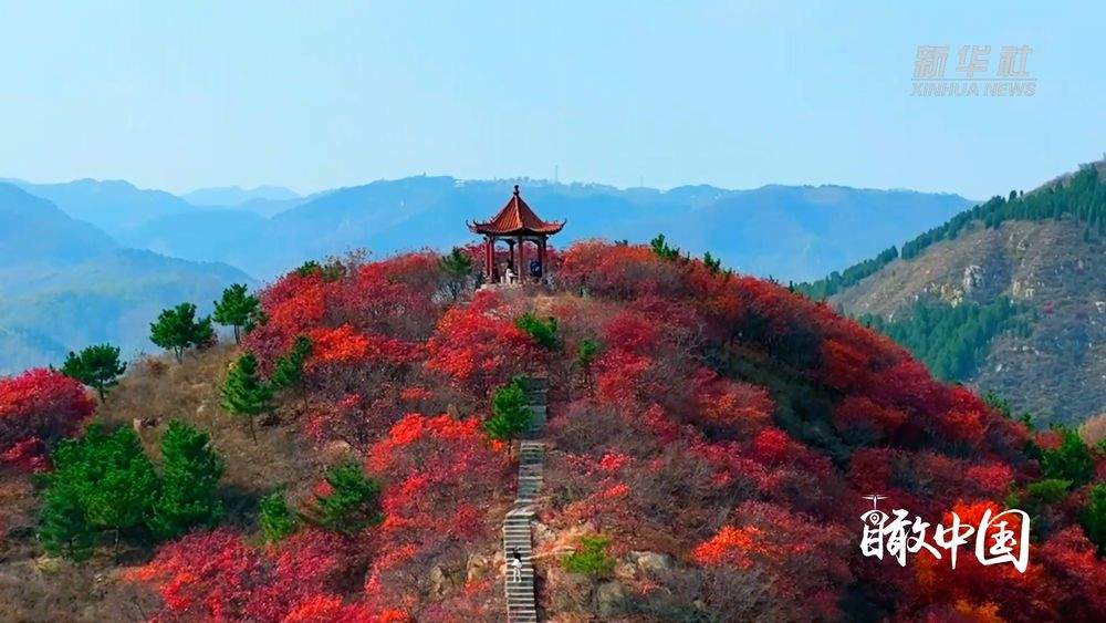 秋意浓！来看看新华社镜头下的秋日济南