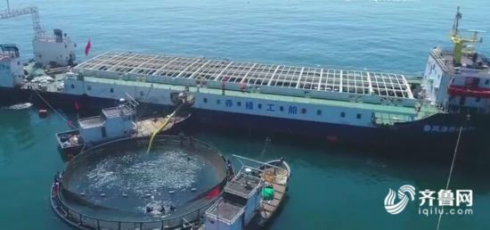 山东：打造海上“绿水青山”
