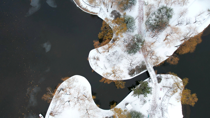 降雪如约而至 雪落大地景色如画