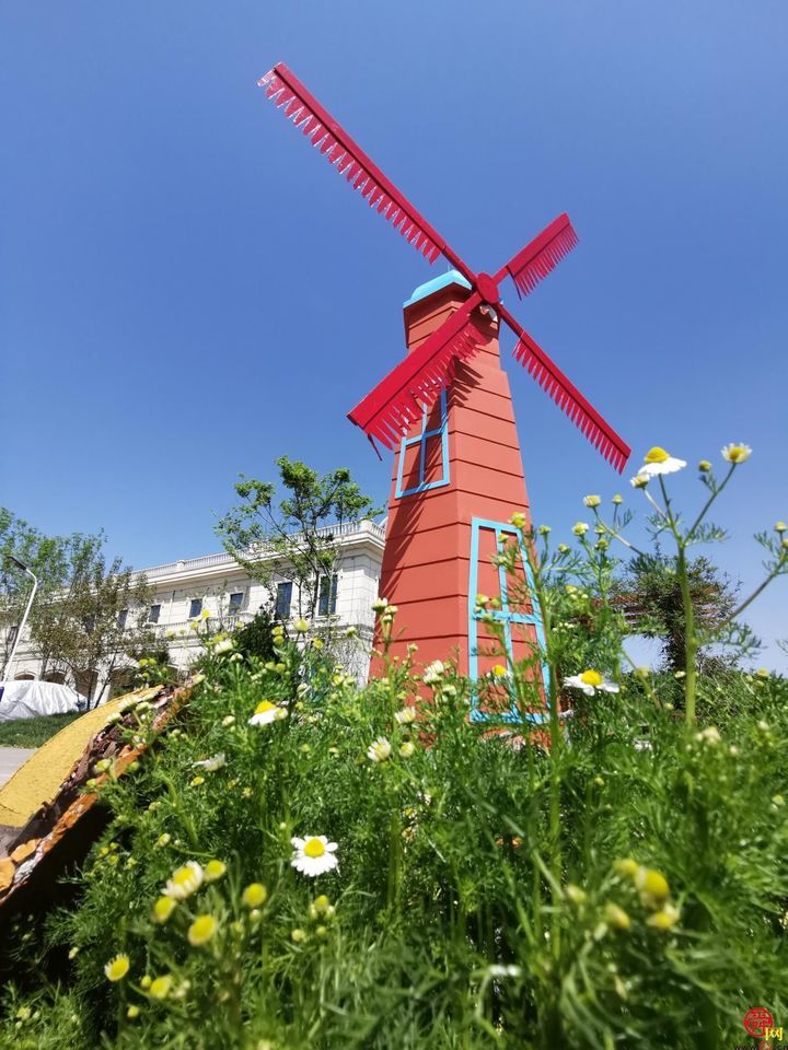 山东文旅集团托管 济南“紫缘香草园”焕新升级济南“花 young park”