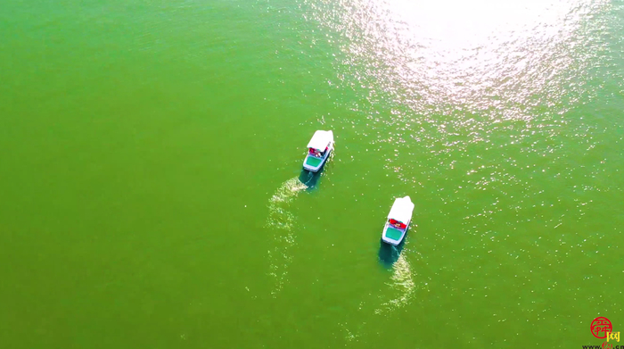 【飞“阅”泉城】 老舍先生笔下的“秋水” 尽在明湖秋韵里