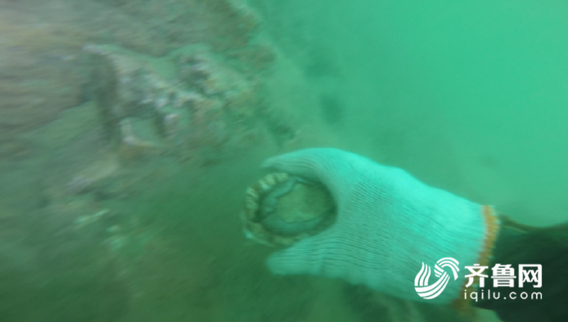 山东发挥财政杠杆支撑作用 推动海洋牧场建设走在前列