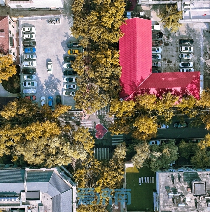 济南经三路，“上新”绝美秋景！