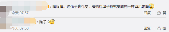 小朋友你是否有很多问号！当遛娃遇到遛狗 接下来的一幕让人哭笑不得