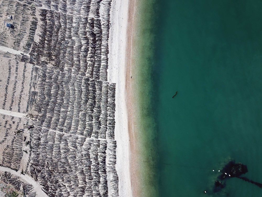 “齐”心“鲁”力