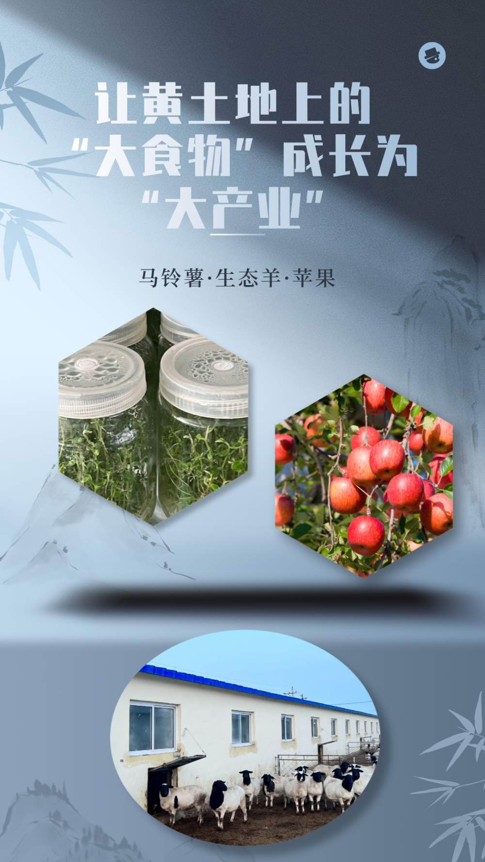 新春走基层·黄土地上的“大食物”∣记者手记：让黄土地上的“大食物”成长为“大产业”