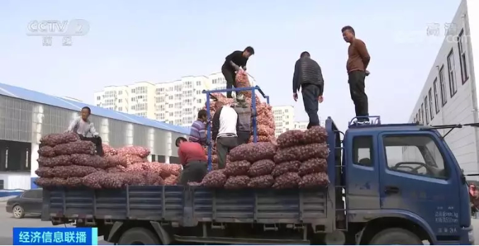 “蒜”你狠？新蒜价格坐“过山车” 爬上三年新高!