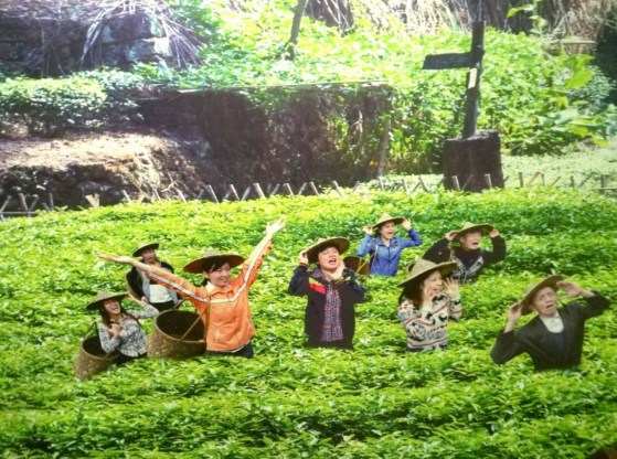 ȫ֮ãƽ