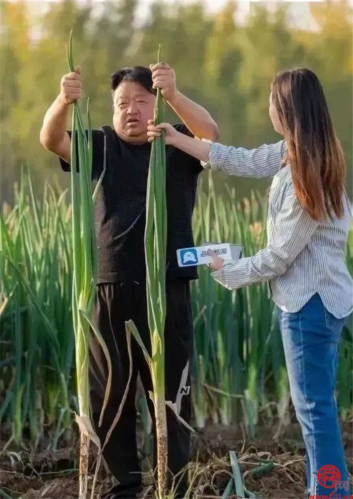 相约“半马”，“好礼”相伴——来吧，把章丘好物带回家！