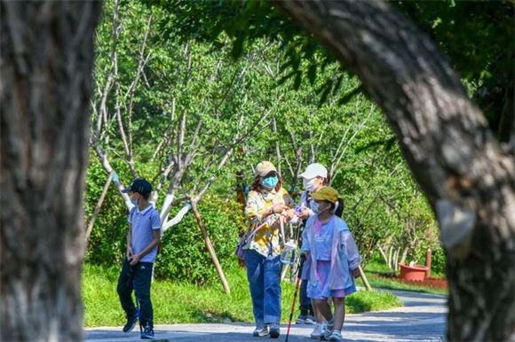 新华社点赞济南：变身“千园之城”